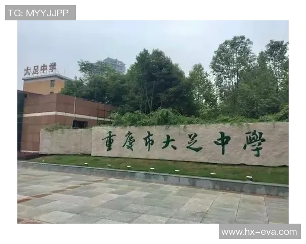 重庆排球队意识提升研究与发展策略探讨